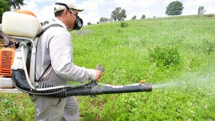 Uso excesivo de plaguicidas impacta en salud de millones de mexicanos: especialistas