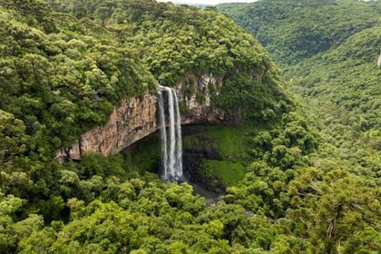 Amazonia-Colombia-ecoinventos.com.jpg