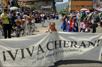 Viva Cherán.jpg