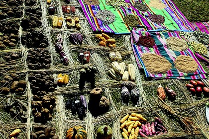 Mercado Perú.jpg