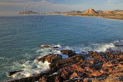 CCK0016 Cabo Pulmo, Baja California Sur.jpg.lCfardvoMd0rTVdhQA3g0JtbmFja29CbnFuZ3NAbXJ6LGtwZwA.JHdzeu3-PS.jpg