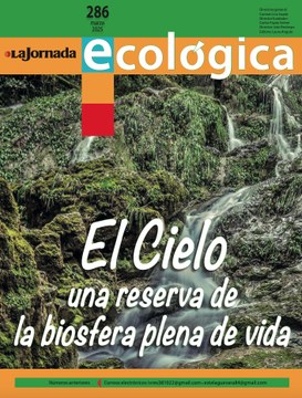 Portadita 286.jpg