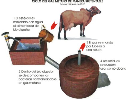 ciclo gas metano.JPG