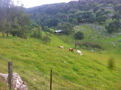 la red campesina y sus practicas.jpg