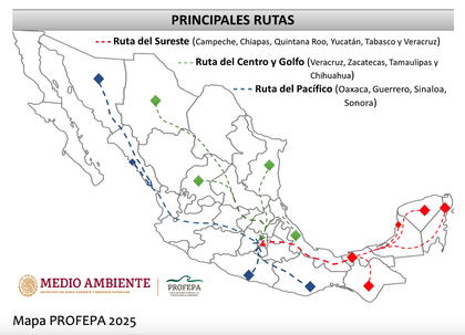 Principales rutas.png