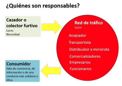 Responsables.png