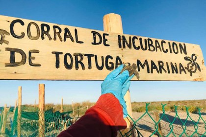 Corral-Comcaac.jpg