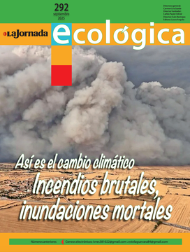 Portadita 292.png