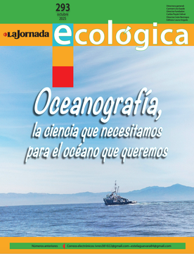 Portadita 293.png