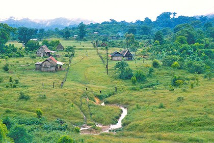 6 - Chimalapas San Francisco de la Paz 1993.jpg