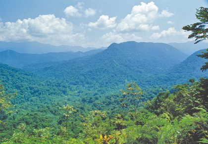 Chimalapas Tres Picos (b) 1993.jpg